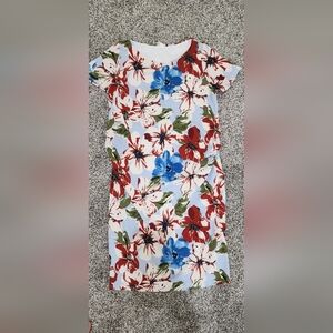 Pinkblush maternity dress